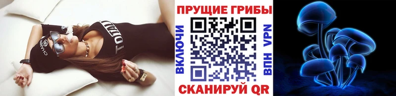 Купить  Барабинск  Псилоцибиновые грибы ЛСД 